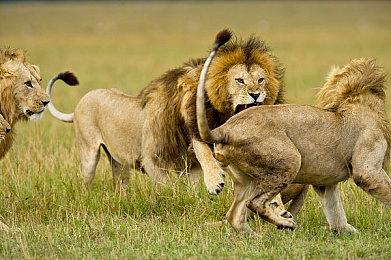 《喋血复仇》Steam商店页面更新 现已采用D加密保护